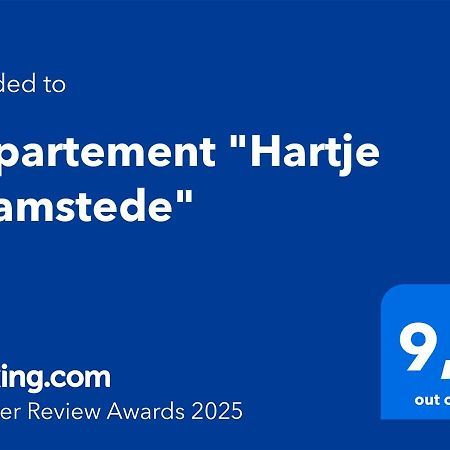 בורג האמסטד Appartement "Hartje Haamstede" מראה חיצוני תמונה